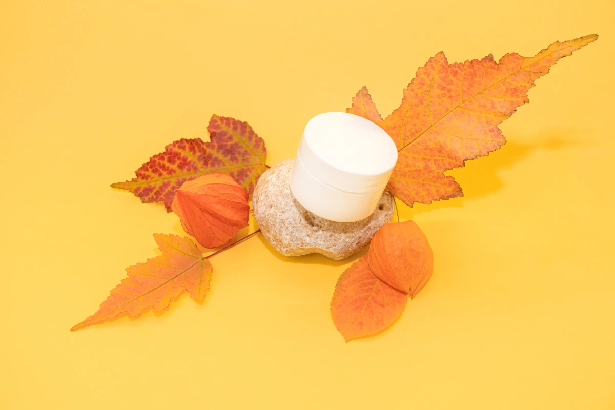 Les plateformes incontournables pour créer votre blog en 2023